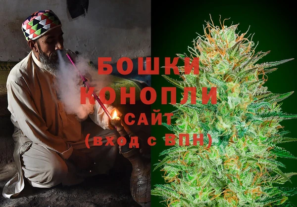 PSILOCYBIN Абаза