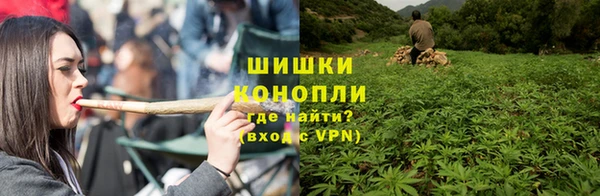 PSILOCYBIN Абаза