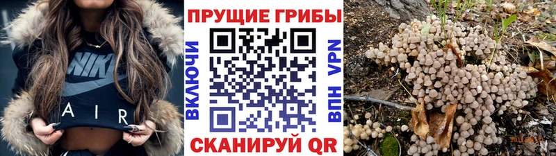 Галлюциногенные грибы Magic Shrooms  Тимашёвск 
